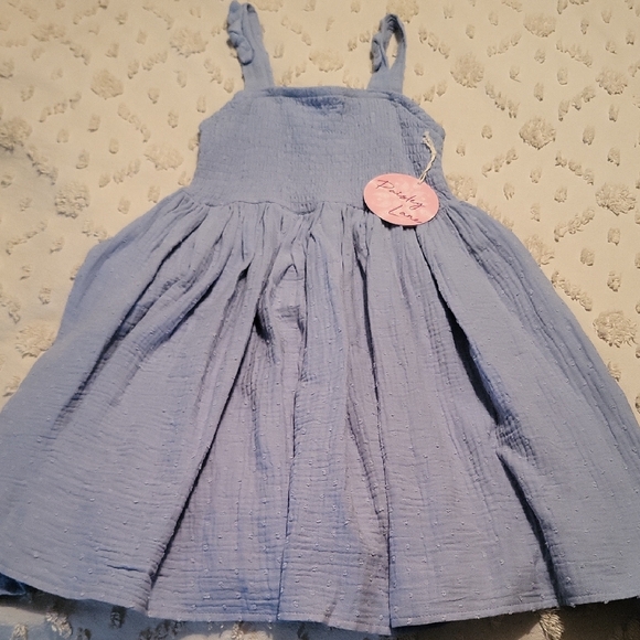 Other - Charming Blue Swiss Dots Girls Dress Size 8